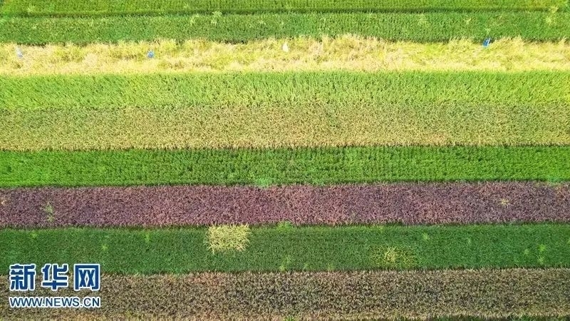 董长瑞：乡村产业强，还要“跨三关”