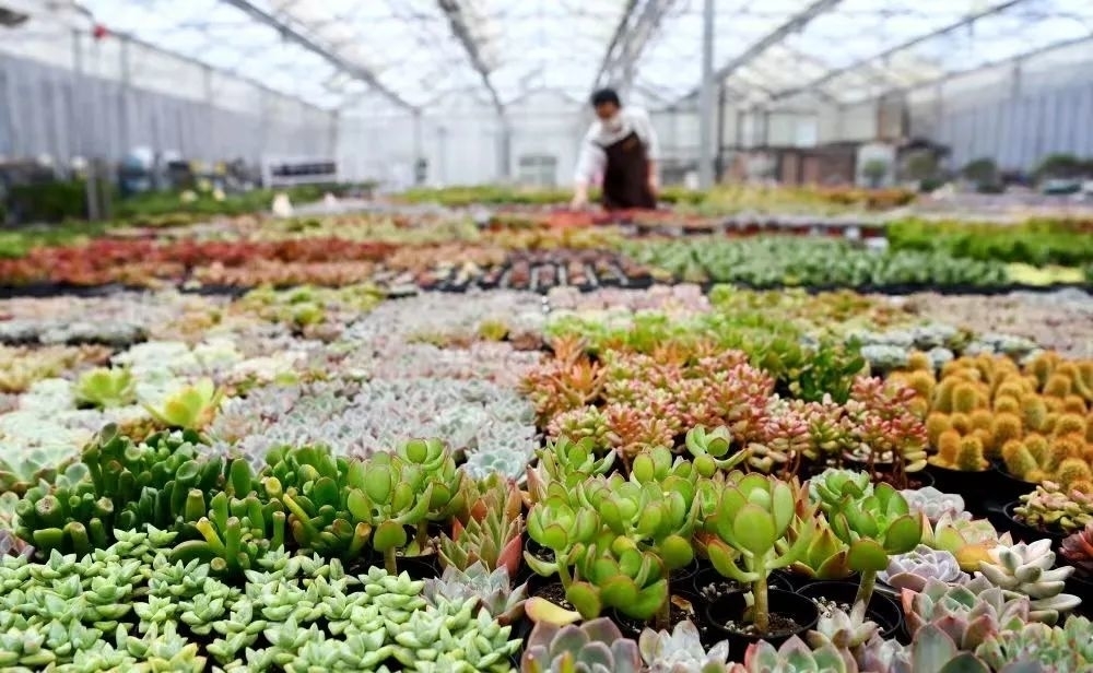 刘嗣方：以数字化赋能新时代城乡融合发展