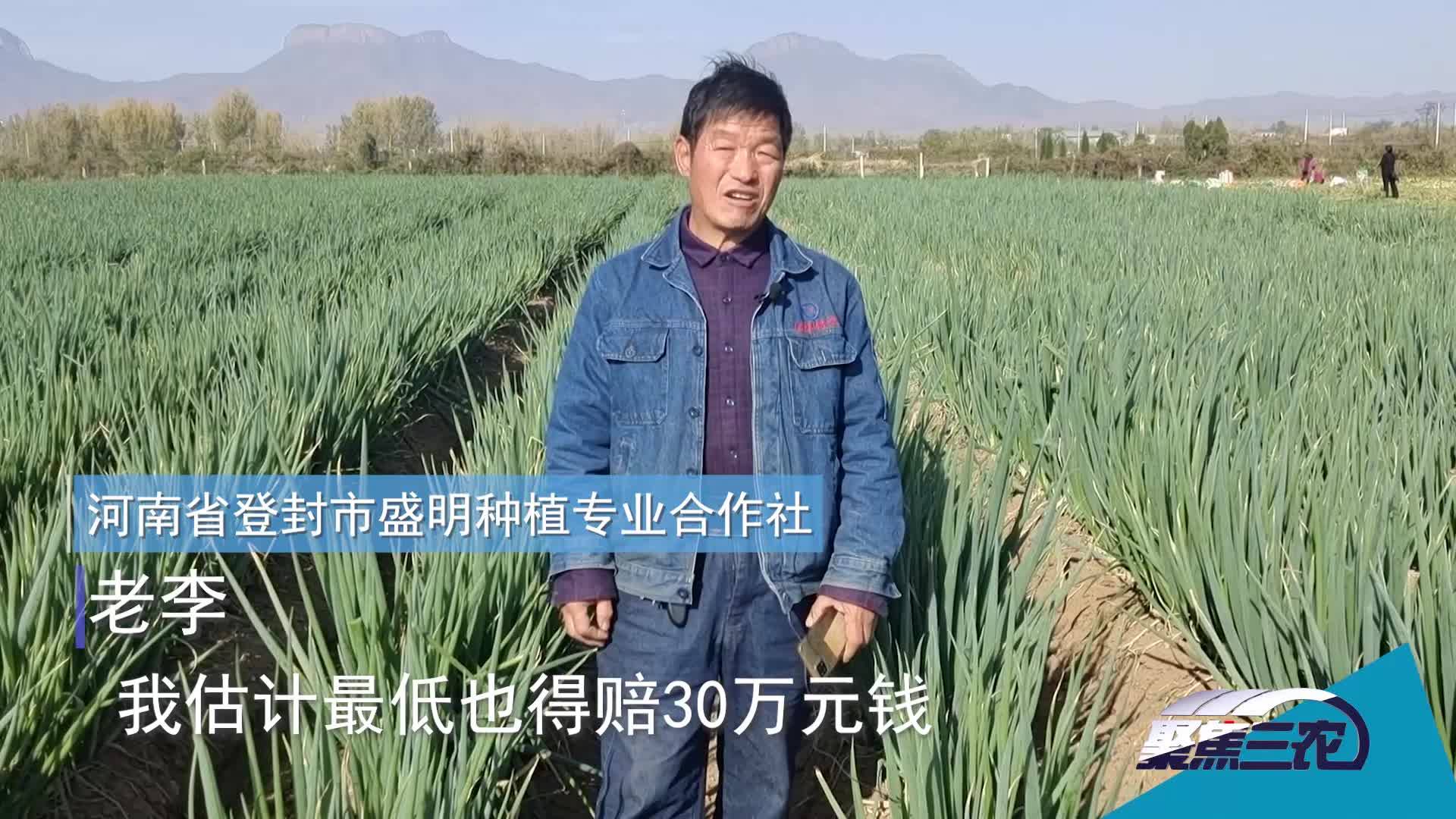 [聚焦三农]层层加码让菜农雪上加霜