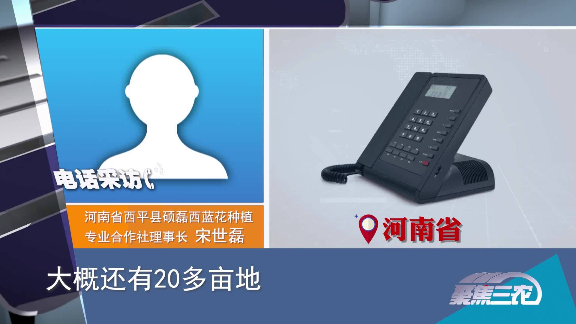 [聚焦三农]疫情之下蔬菜卖难如何应对？