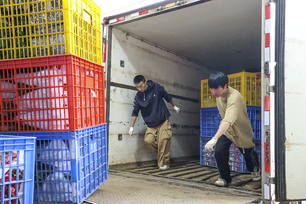 在昆明国际花卉拍卖交易中心，两名工作人员在运输鲜花（7月13日摄）。新华社记者 崔文 摄